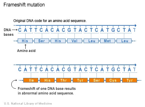 Missense mutation