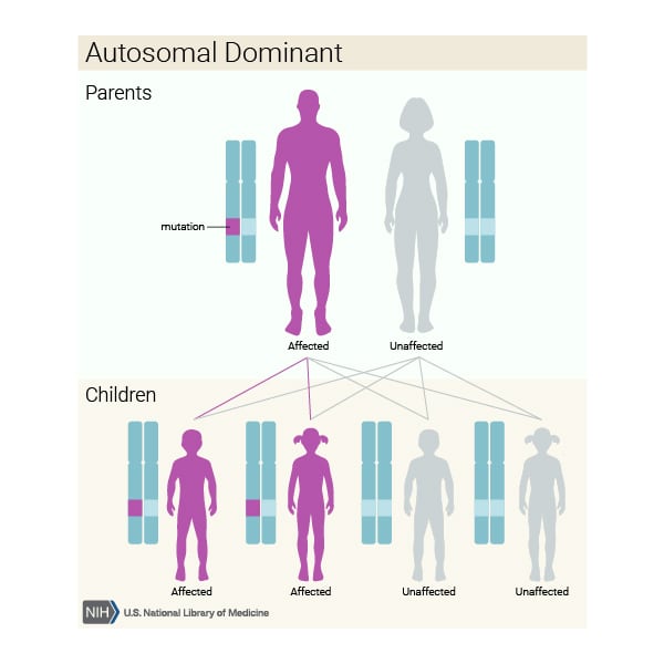 Autosomal dominant inheritance