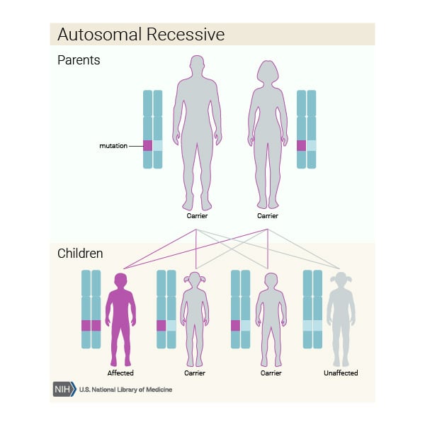 Autosomal recessive inheritance