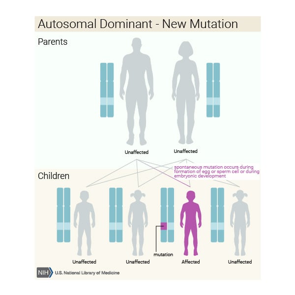 New mutation autosomal dominant