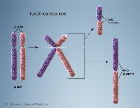 Isochromsomes