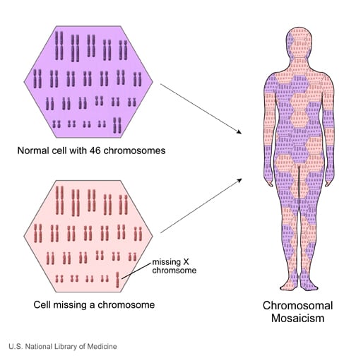 Mosaicism