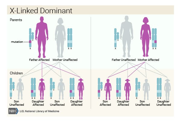 X linked dominant