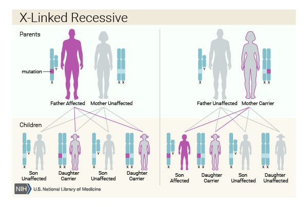 X linked recessive