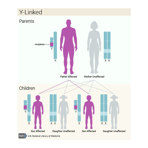 Y linked inheritance