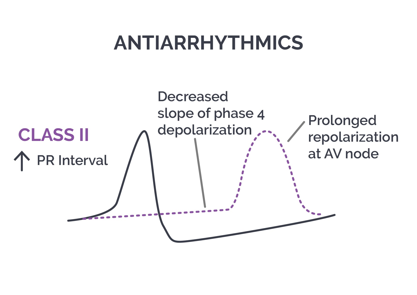 Antiarrhythmics class II