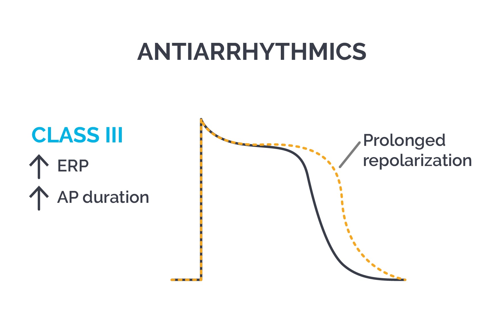 Antiarrhythmics class III