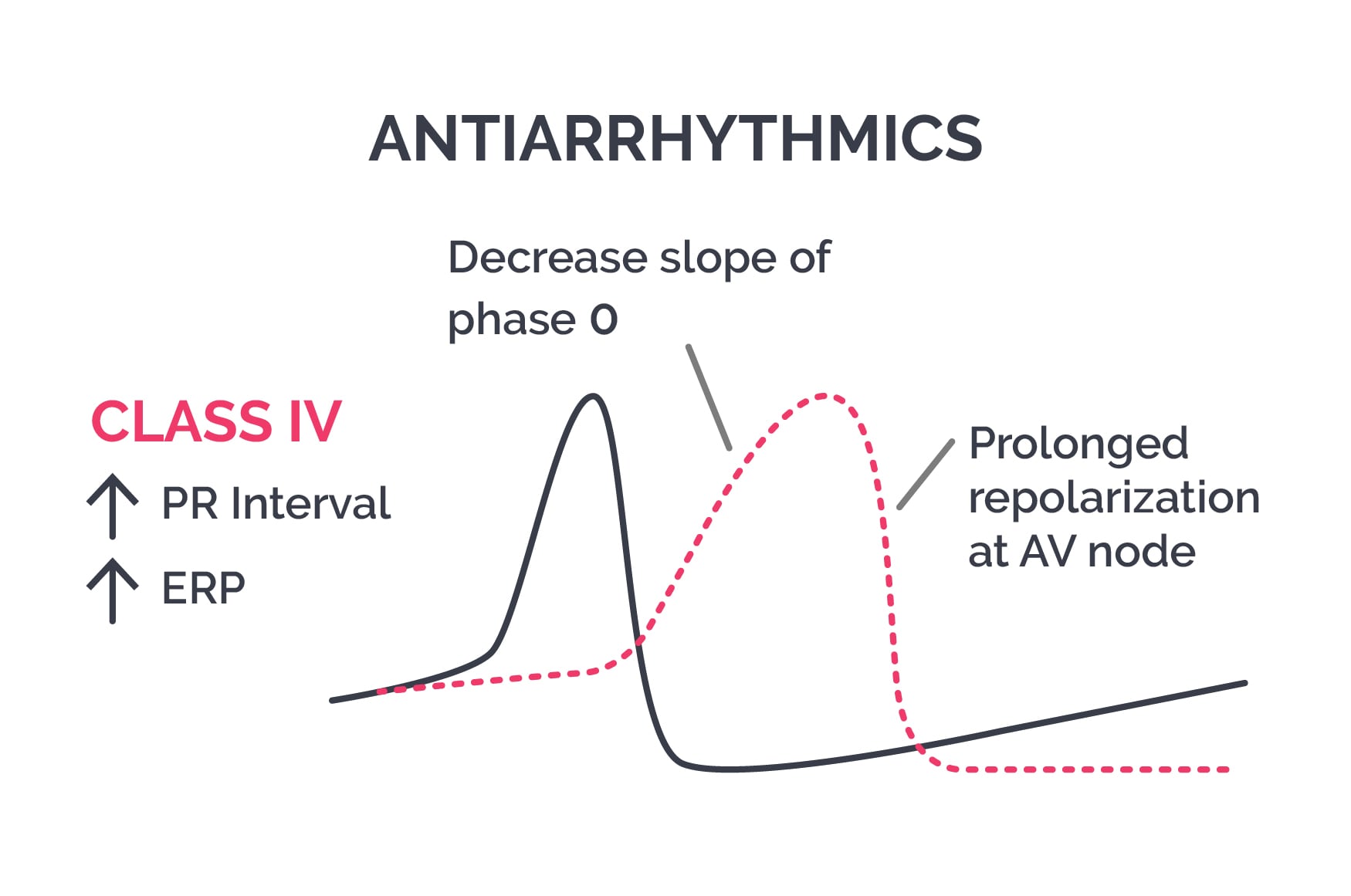 Antiarrhythmics class IV