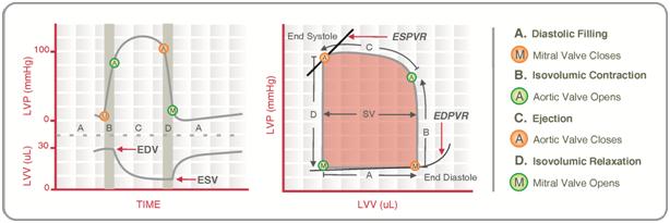 Pressure volume loop