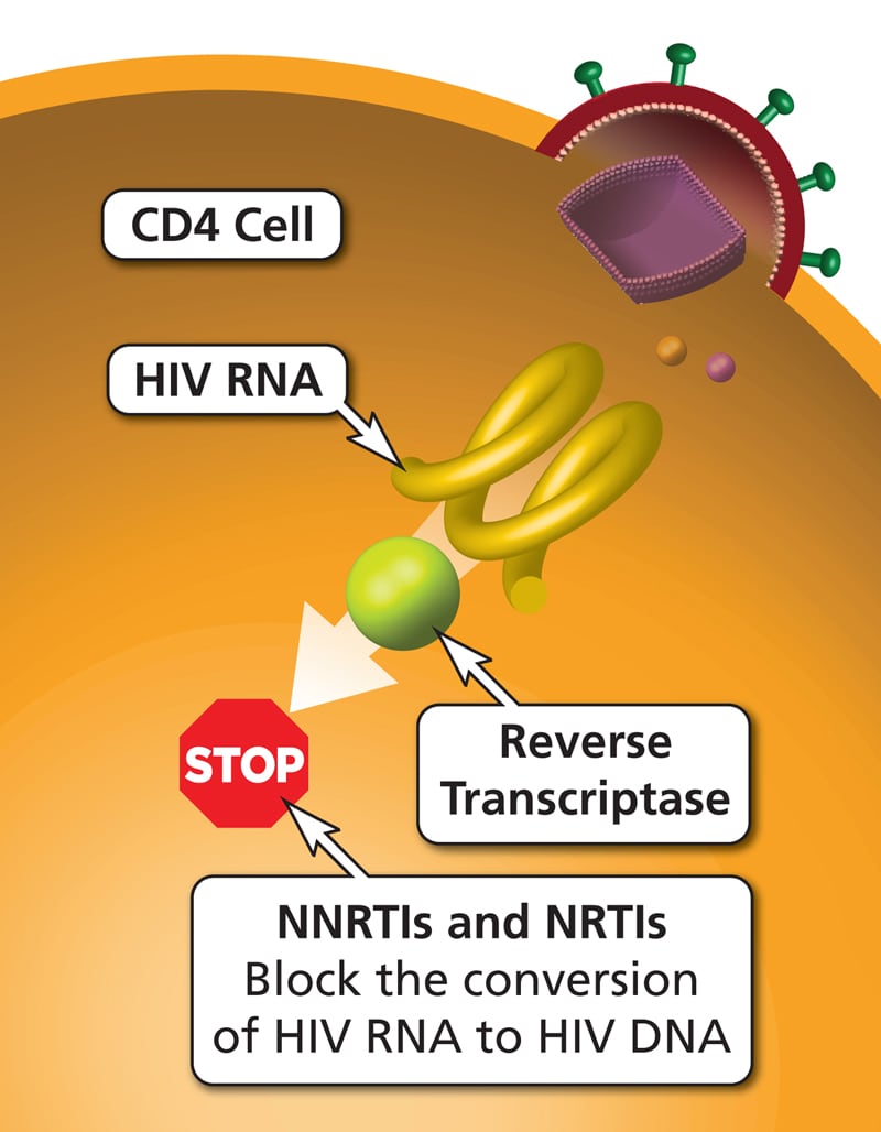 RTIs HIV