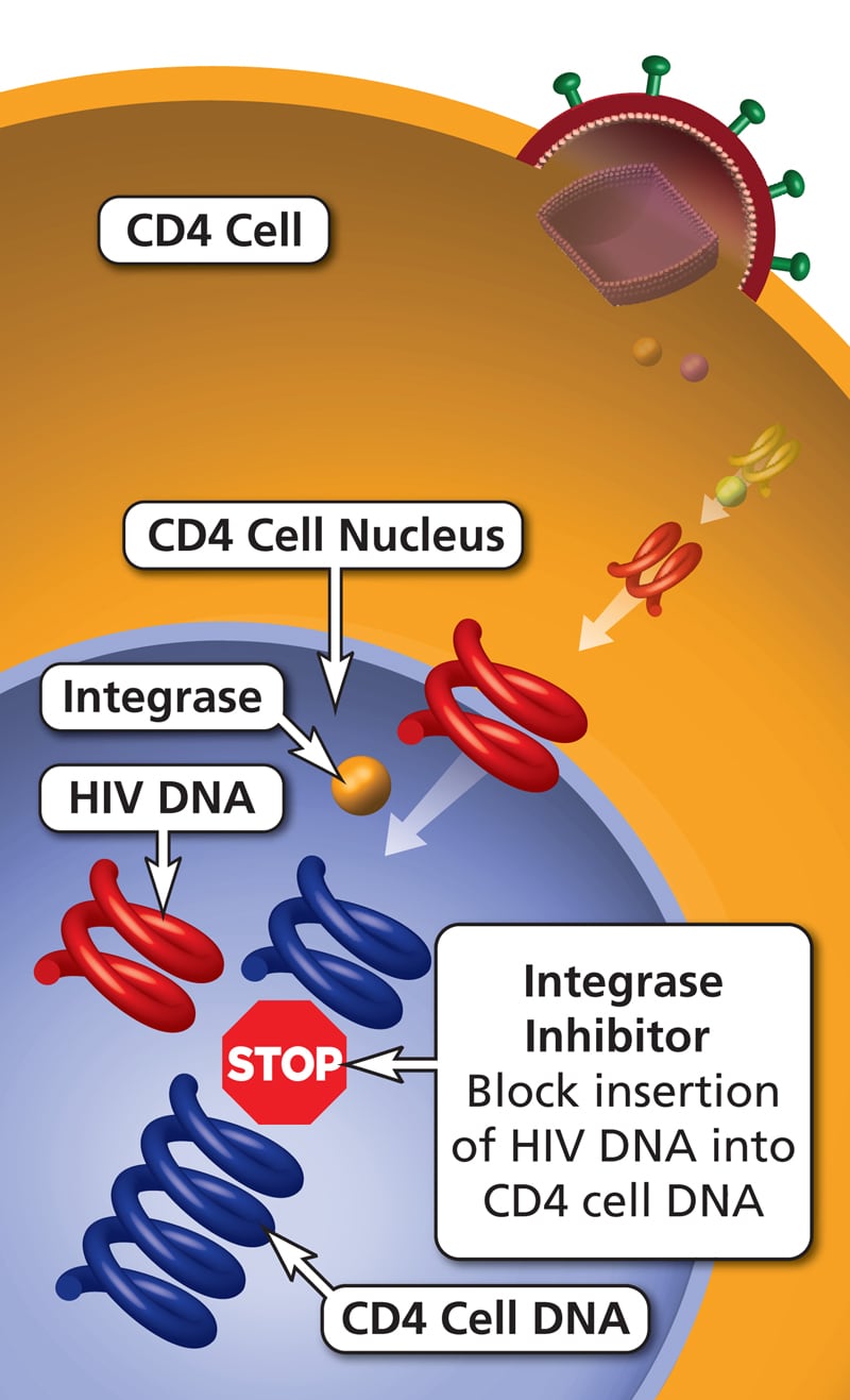 HIV integrase inhibitors