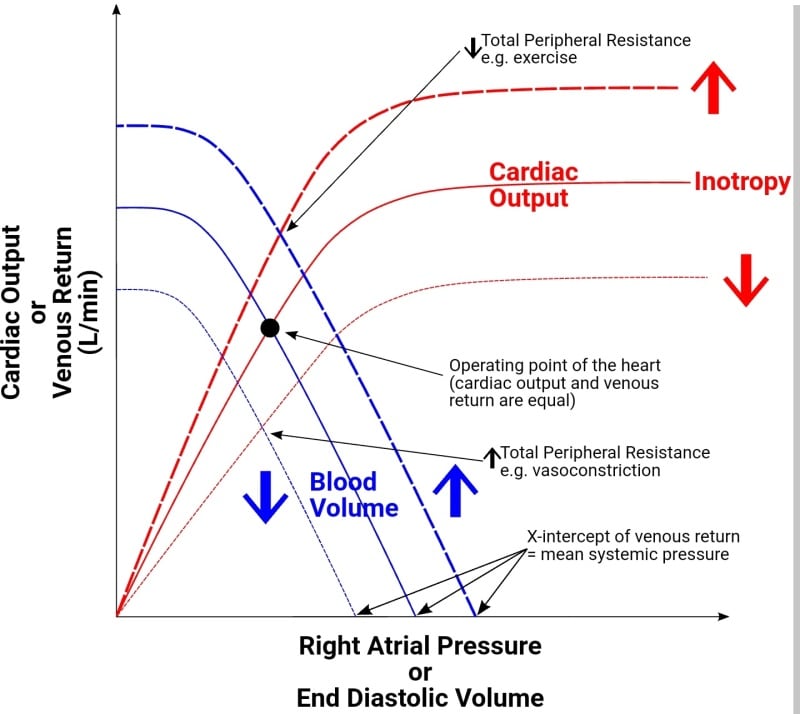 Frank Starling curve